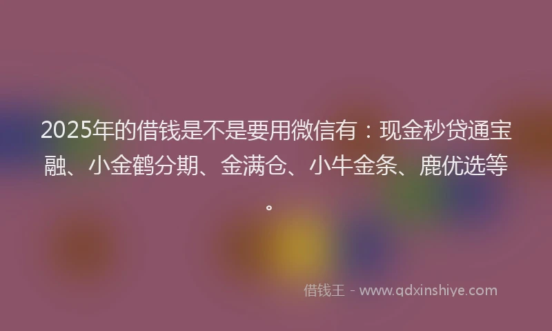 2025年的借钱是不是要用微信有：现金秒贷通宝融、小金鹤分期、金满仓、小牛金条、鹿优选等。
