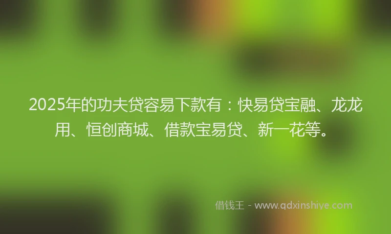 2025年的功夫贷容易下款有：快易贷宝融、龙龙用、恒创商城、借款宝易贷、新一花等。