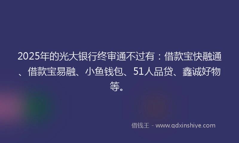 2025年的光大银行终审通不过有：借款宝快融通、借款宝易融、小鱼钱包、51人品贷、鑫诚好物等。