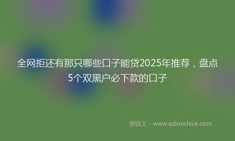 全网拒还有那只哪些口子能贷2025年推荐，盘点5个双黑户必下款的口子