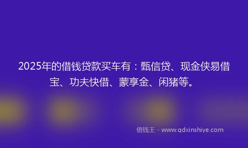 2025年的借钱贷款买车有：甄信贷、现金侠易借宝、功夫快借、蒙享金、闲猪等。