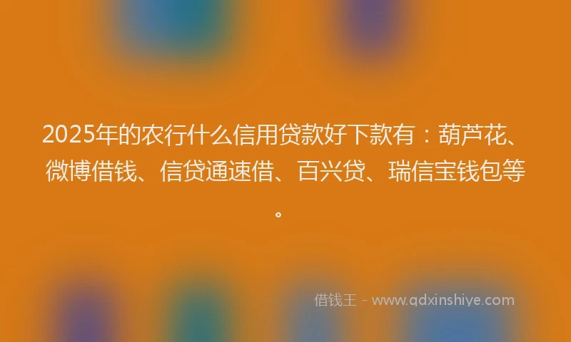 2025年的农行什么信用贷款好下款有：葫芦花、微博借钱、信贷通速借、百兴贷、瑞信宝钱包等。