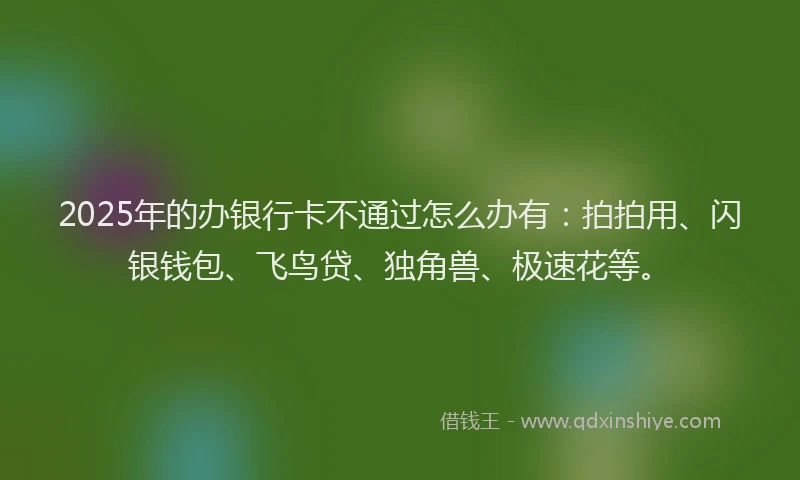 2025年的办银行卡不通过怎么办有：拍拍用、闪银钱包、飞鸟贷、独角兽、极速花等。