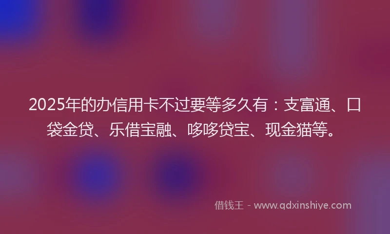 2025年的办信用卡不过要等多久有：支富通、口袋金贷、乐借宝融、哆哆贷宝、现金猫等。