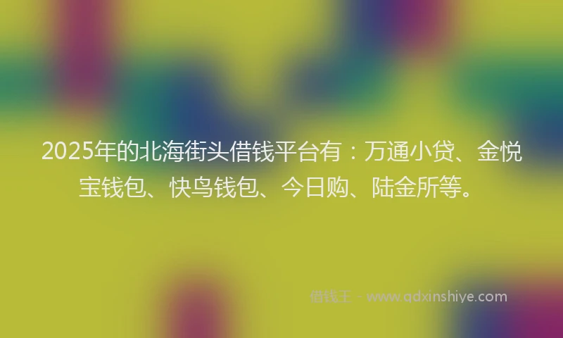 2025年的北海街头借钱平台有：万通小贷、金悦宝钱包、快鸟钱包、今日购、陆金所等。