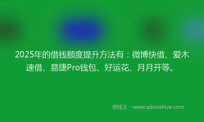 2025年的借钱额度提升方法有：微博快借、爱木速借、易捷Pro钱包、好运花、月月开等。