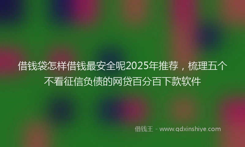 借钱袋怎样借钱最安全呢2025年推荐，梳理五个不看征信负债的网贷百分百下款软件