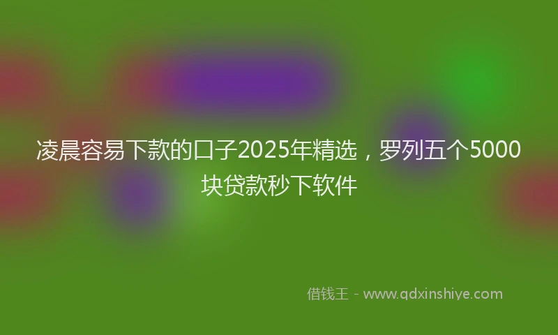 凌晨容易下款的口子2025年精选，罗列五个5000块贷款秒下软件