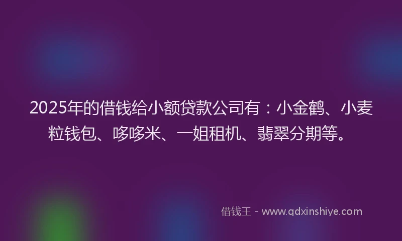 2025年的借钱给小额贷款公司有：小金鹤、小麦粒钱包、哆哆米、一姐租机、翡翠分期等。