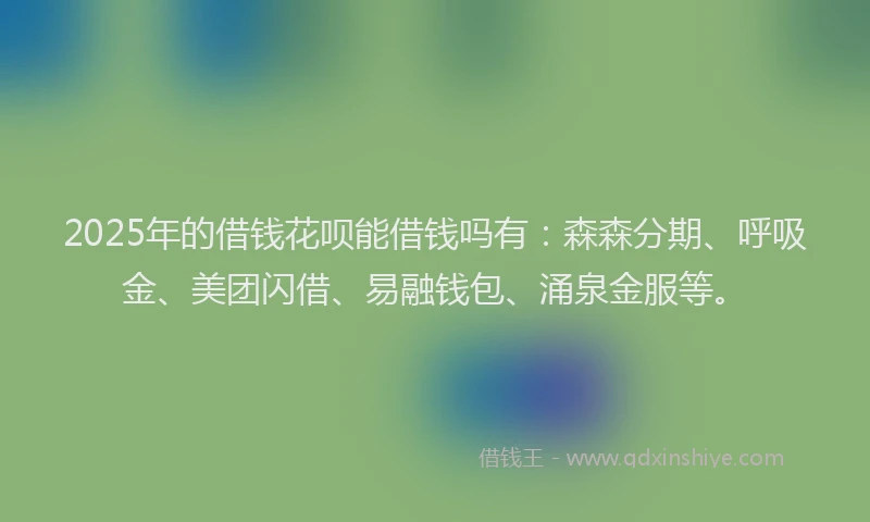 2025年的借钱花呗能借钱吗有：森森分期、呼吸金、美团闪借、易融钱包、涌泉金服等。