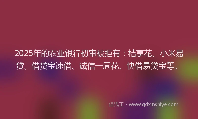 2025年的农业银行初审被拒有：桔享花、小米易贷、借贷宝速借、诚信一周花、快借易贷宝等。