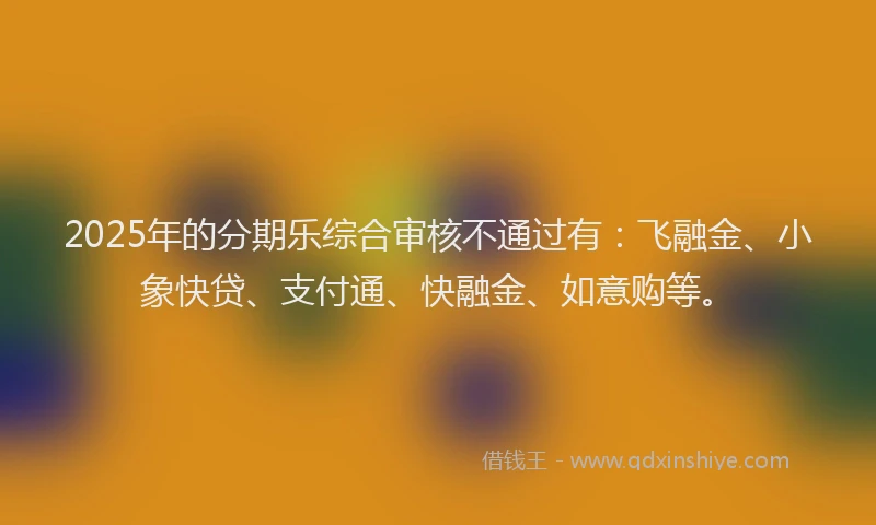 2025年的分期乐综合审核不通过有：飞融金、小象快贷、支付通、快融金、如意购等。
