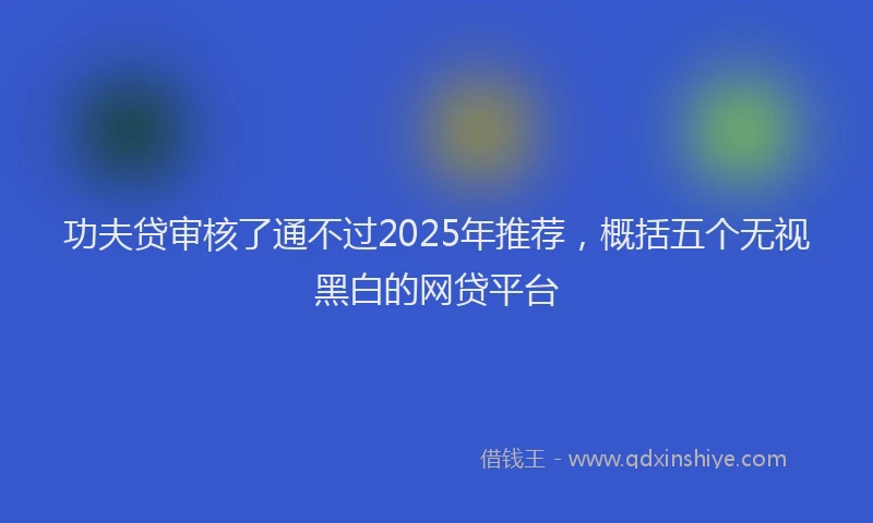 功夫贷审核了通不过2025年推荐，概括五个无视黑白的网贷平台
