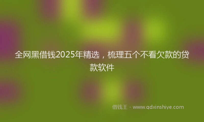 全网黑借钱2025年精选，梳理五个不看欠款的贷款软件