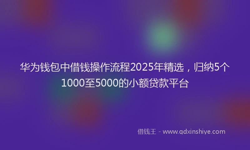 华为钱包中借钱操作流程2025年精选，归纳5个1000至5000的小额贷款平台