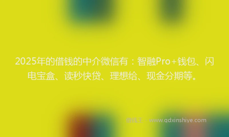 2025年的借钱的中介微信有：智融Pro+钱包、闪电宝盒、读秒快贷、理想给、现金分期等。