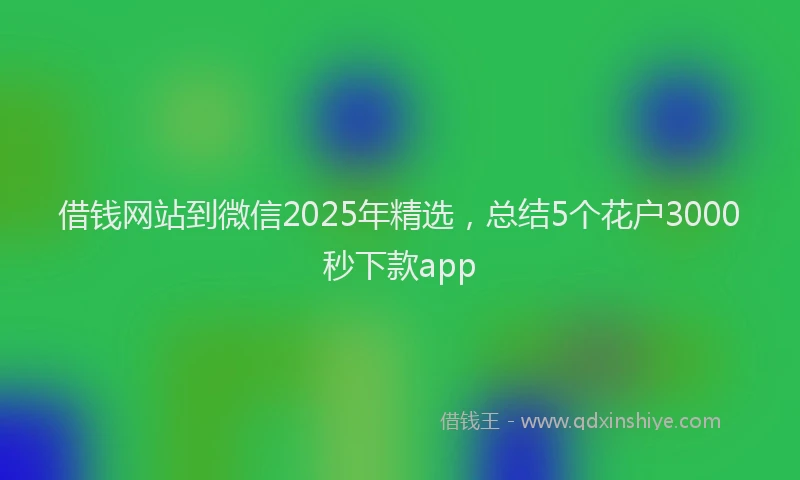 借钱网站到微信2025年精选，总结5个花户3000秒下款app