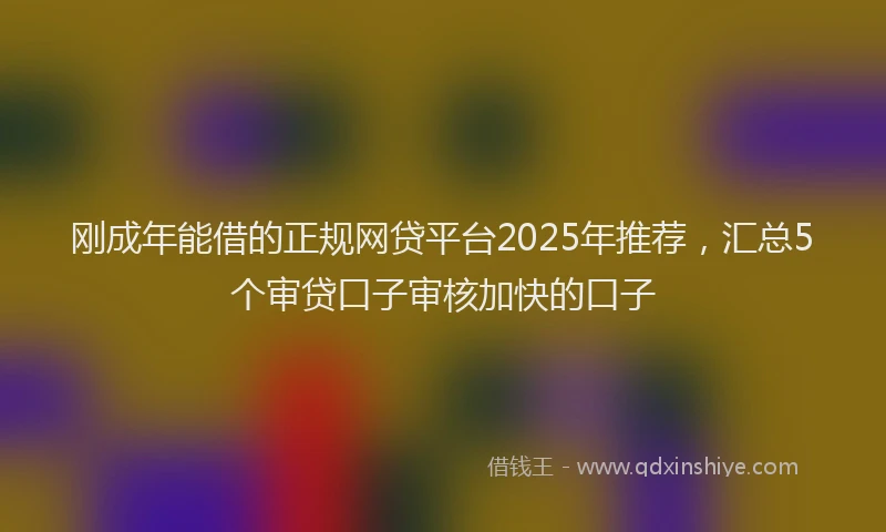 刚成年能借的正规网贷平台2025年推荐，汇总5个审贷口子审核加快的口子