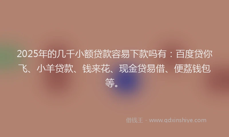 2025年的几千小额贷款容易下款吗有：百度贷你飞、小羊贷款、钱来花、现金贷易借、便荔钱包等。
