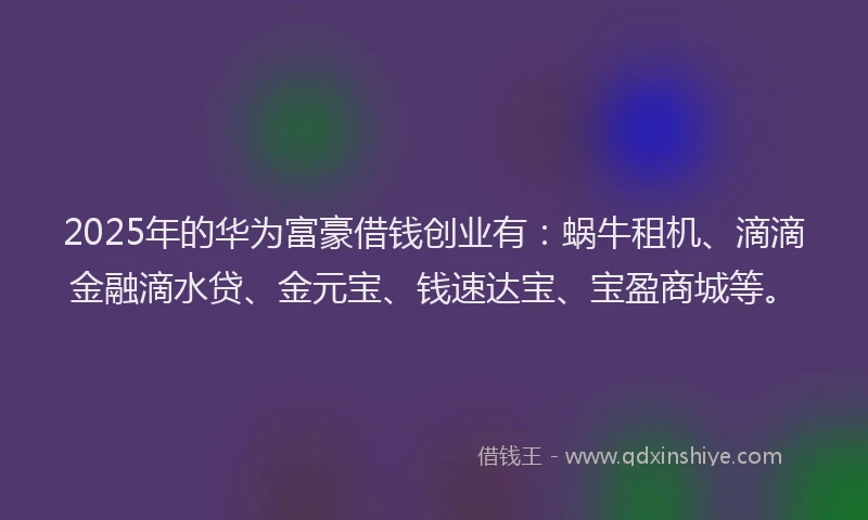2025年的华为富豪借钱创业有：蜗牛租机、滴滴金融滴水贷、金元宝、钱速达宝、宝盈商城等。