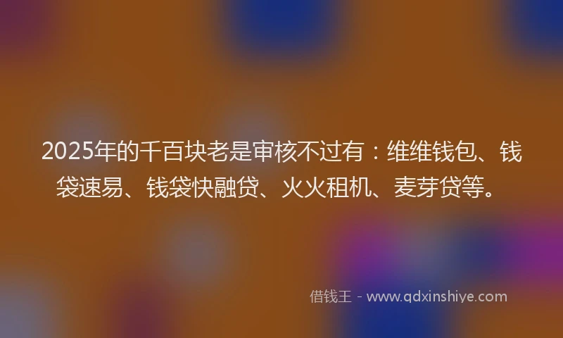 2025年的千百块老是审核不过有：维维钱包、钱袋速易、钱袋快融贷、火火租机、麦芽贷等。
