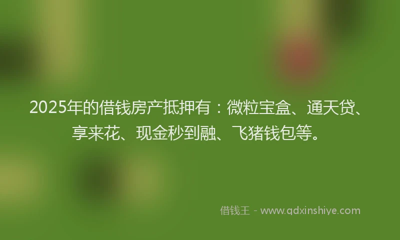 2025年的借钱房产抵押有：微粒宝盒、通天贷、享来花、现金秒到融、飞猪钱包等。
