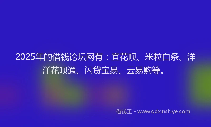 2025年的借钱论坛网有：宜花呗、米粒白条、洋洋花呗通、闪贷宝易、云易购等。