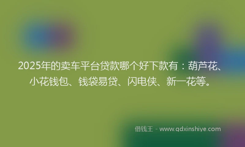 2025年的卖车平台贷款哪个好下款有：葫芦花、小花钱包、钱袋易贷、闪电侠、新一花等。