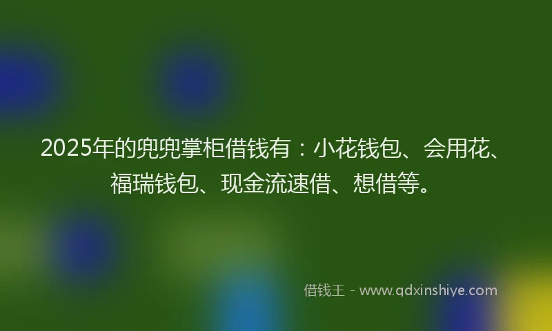 2025年的兜兜掌柜借钱有：小花钱包、会用花、福瑞钱包、现金流速借、想借等。