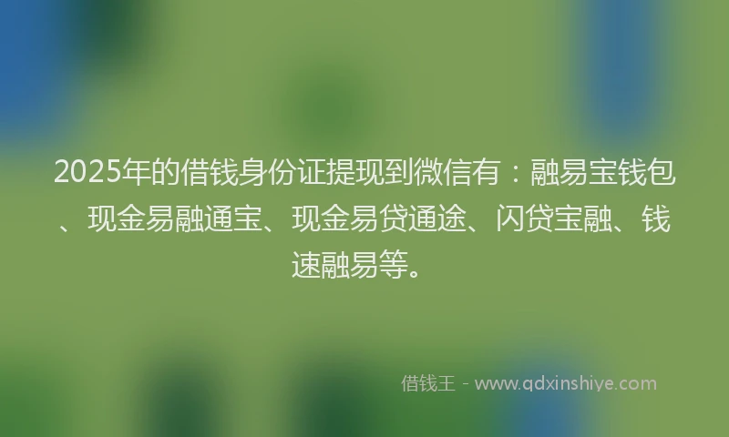 2025年的借钱身份证提现到微信有：融易宝钱包、现金易融通宝、现金易贷通途、闪贷宝融、钱速融易等。