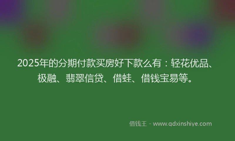 2025年的分期付款买房好下款么有：轻花优品、极融、翡翠信贷、借蛙、借钱宝易等。