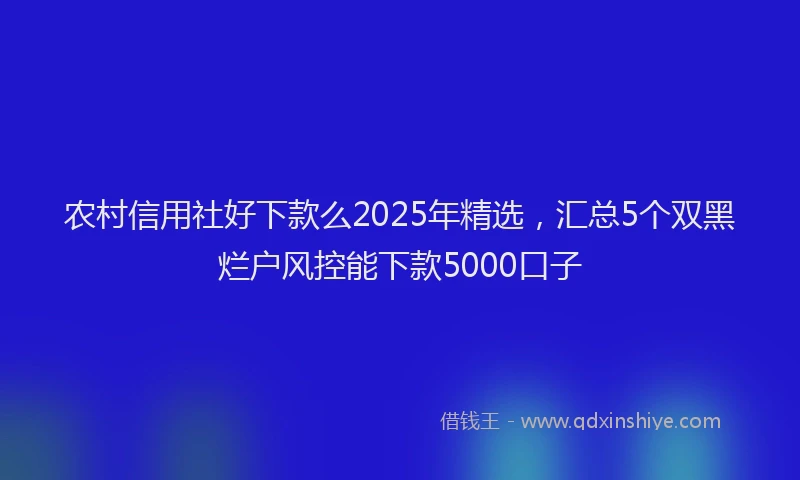 农村信用社好下款么2025年精选，汇总5个双黑烂户风控能下款5000口子