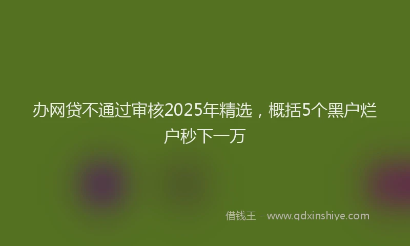 办网贷不通过审核2025年精选，概括5个黑户烂户秒下一万