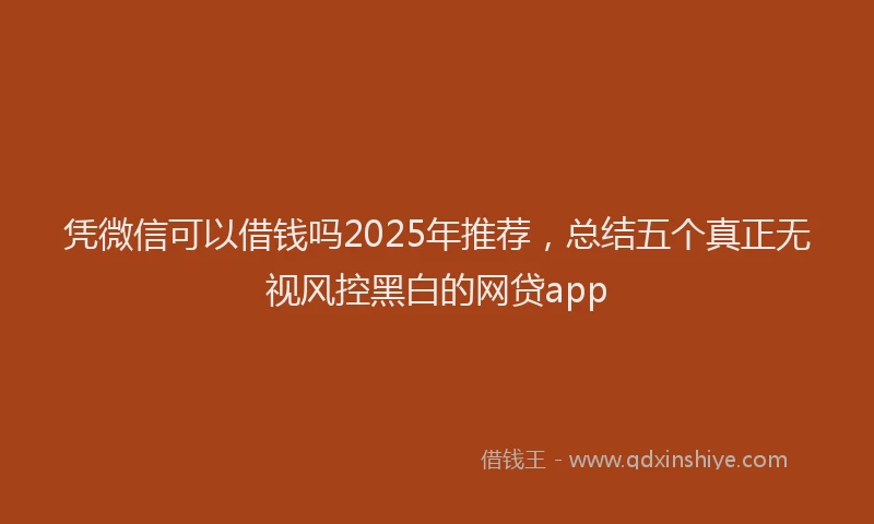 凭微信可以借钱吗2025年推荐，总结五个真正无视风控黑白的网贷app