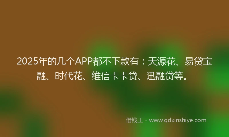 2025年的几个APP都不下款有：天源花、易贷宝融、时代花、维信卡卡贷、迅融贷等。