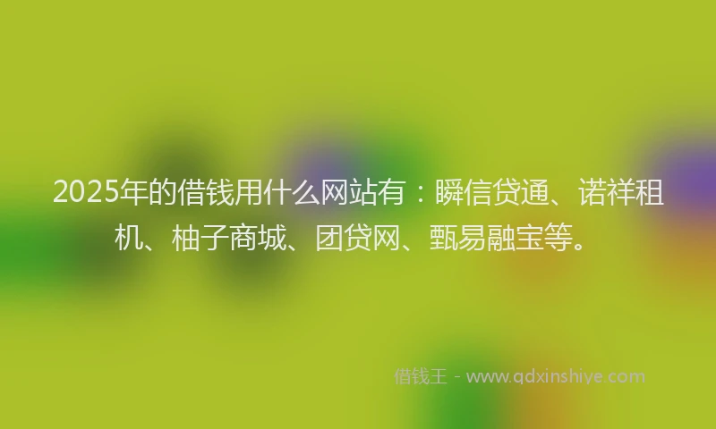 2025年的借钱用什么网站有：瞬信贷通、诺祥租机、柚子商城、团贷网、甄易融宝等。