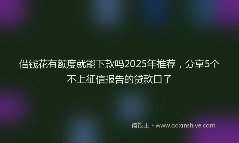 借钱花有额度就能下款吗2025年推荐，分享5个不上征信报告的贷款口子