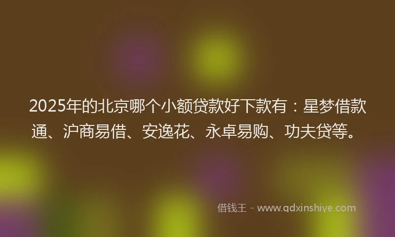 2025年的北京哪个小额贷款好下款有：星梦借款通、沪商易借、安逸花、永卓易购、功夫贷等。