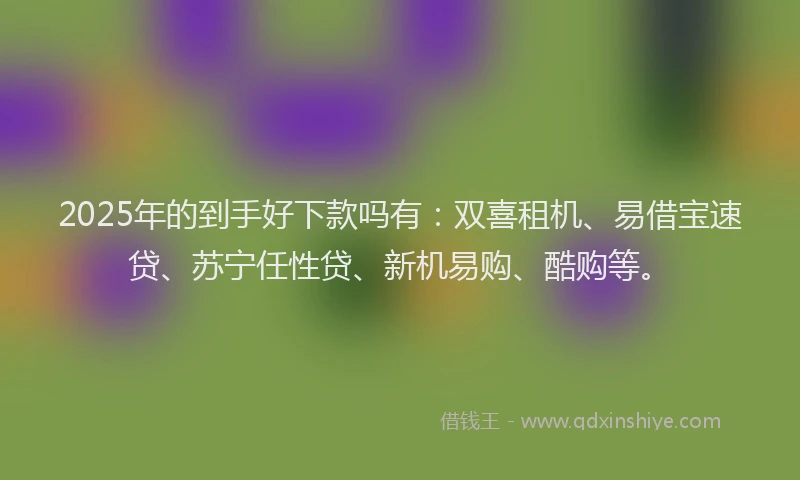 2025年的到手好下款吗有：双喜租机、易借宝速贷、苏宁任性贷、新机易购、酷购等。