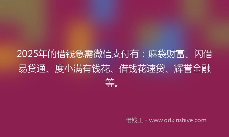 2025年的借钱急需微信支付有：麻袋财富、闪借易贷通、度小满有钱花、借钱花速贷、辉誉金融等。