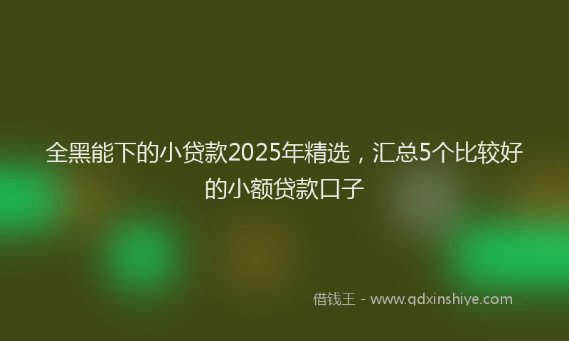 全黑能下的小贷款2025年精选，汇总5个比较好的小额贷款口子