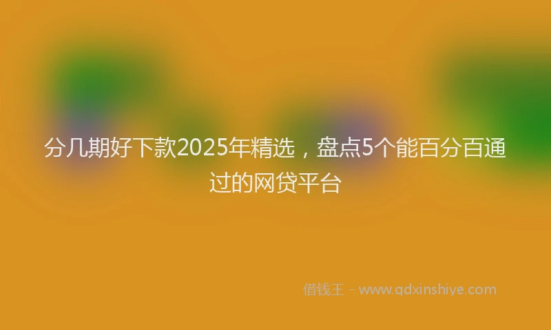 分几期好下款2025年精选，盘点5个能百分百通过的网贷平台