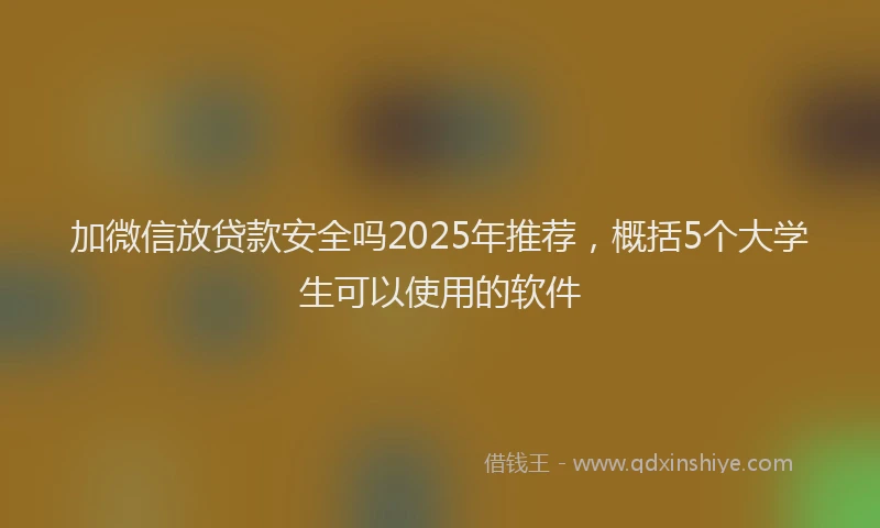 加微信放贷款安全吗2025年推荐，概括5个大学生可以使用的软件