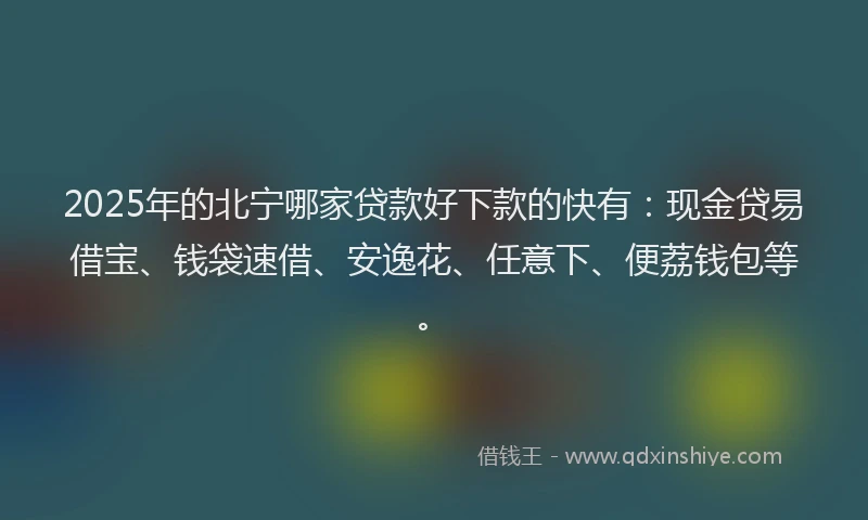 2025年的北宁哪家贷款好下款的快有：现金贷易借宝、钱袋速借、安逸花、任意下、便荔钱包等。