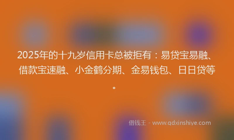 2025年的十九岁信用卡总被拒有：易贷宝易融、借款宝速融、小金鹤分期、金易钱包、日日贷等。
