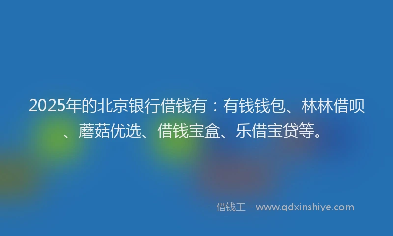 2025年的北京银行借钱有：有钱钱包、林林借呗、蘑菇优选、借钱宝盒、乐借宝贷等。