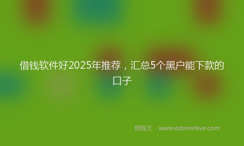 借钱软件好2025年推荐，汇总5个黑户能下款的口子