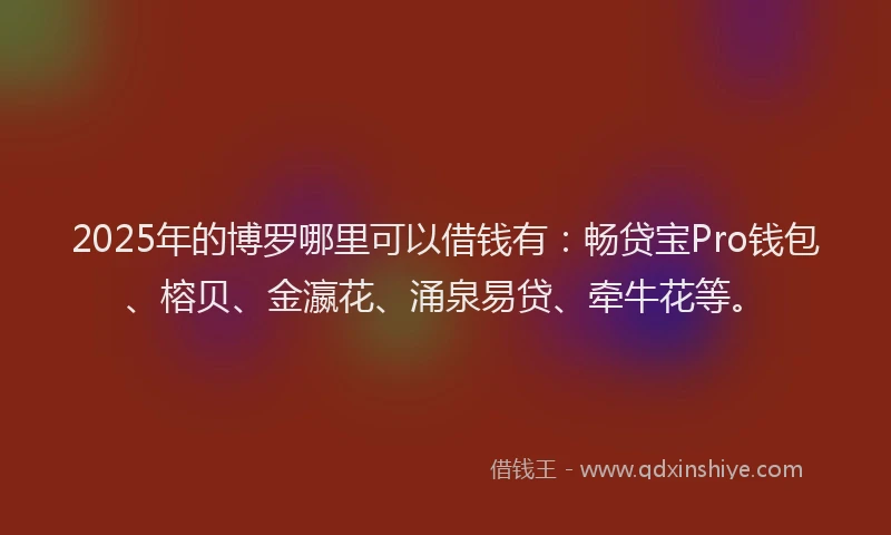 2025年的博罗哪里可以借钱有：畅贷宝Pro钱包、榕贝、金瀛花、涌泉易贷、牵牛花等。