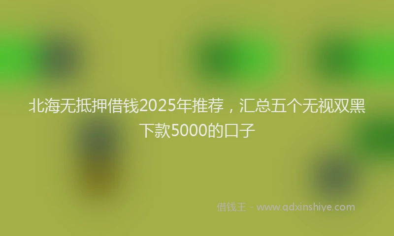 北海无抵押借钱2025年推荐，汇总五个无视双黑下款5000的口子