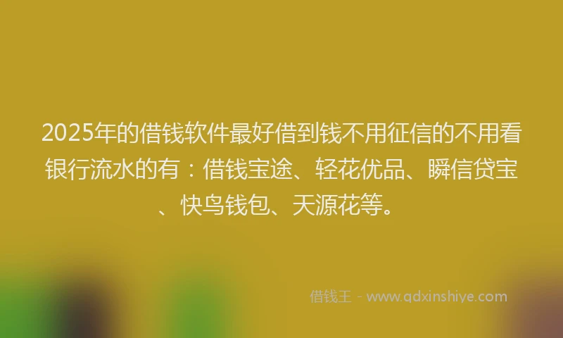 2025年的借钱软件最好借到钱不用征信的不用看银行流水的有：借钱宝途、轻花优品、瞬信贷宝、快鸟钱包、天源花等。